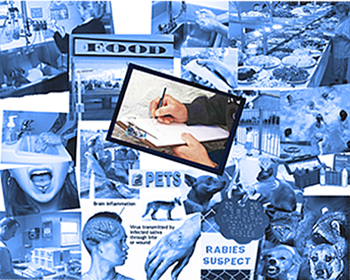 Collage of different aspects of environmental health